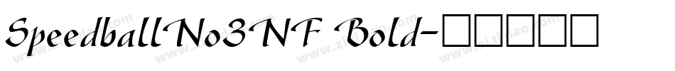 SpeedballNo3NF Bold字体转换
